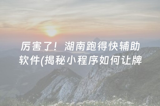 厉害了！湖南跑得快辅助软件(揭秘小程序如何让牌变好)