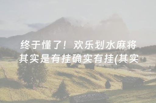 终于懂了！欢乐划水麻将其实是有挂确实有挂(其实是有挂的)