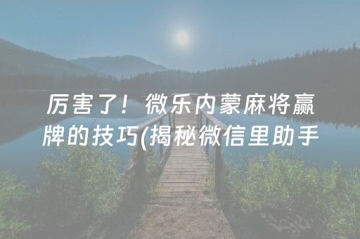 厉害了！微乐内蒙麻将赢牌的技巧(揭秘微信里助手软件)