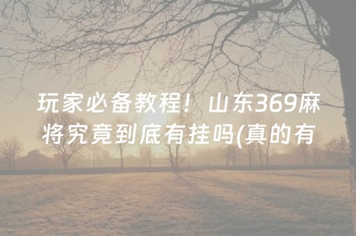 玩家必备教程！山东369麻将究竟到底有挂吗(真的有挂确实有挂)