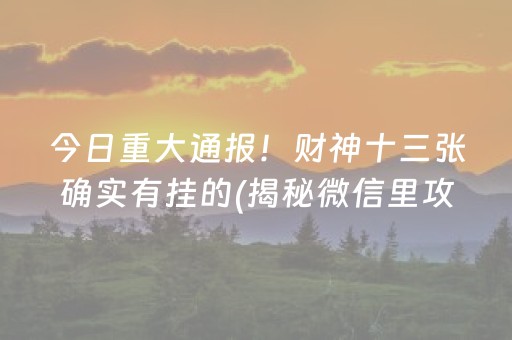 今日重大通报！财神十三张确实有挂的(揭秘微信里攻略插件)