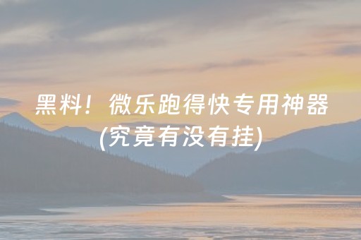 黑料！微乐跑得快专用神器(究竟有没有挂)