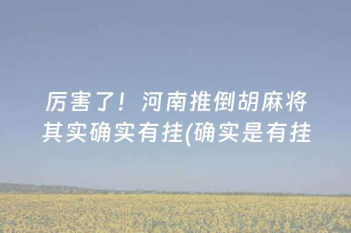 厉害了！河南推倒胡麻将其实确实有挂(确实是有挂)