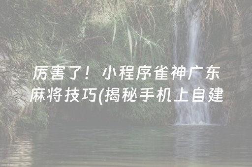 厉害了！小程序雀神广东麻将技巧(揭秘手机上自建房怎么赢)