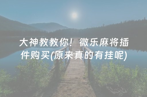 大神教教你！微乐麻将插件购买(原来真的有挂呢)