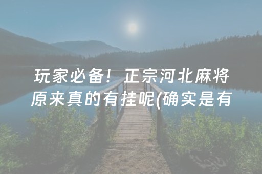 玩家必备！正宗河北麻将原来真的有挂呢(确实是有挂)