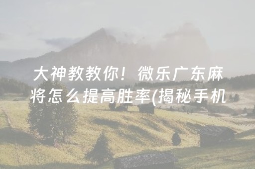 大神教教你！微乐广东麻将怎么提高胜率(揭秘手机上提高赢的概率)