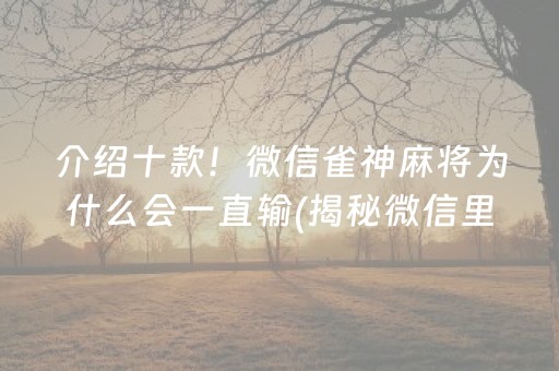 介绍十款！微信雀神麻将为什么会一直输(揭秘微信里赢的诀窍)