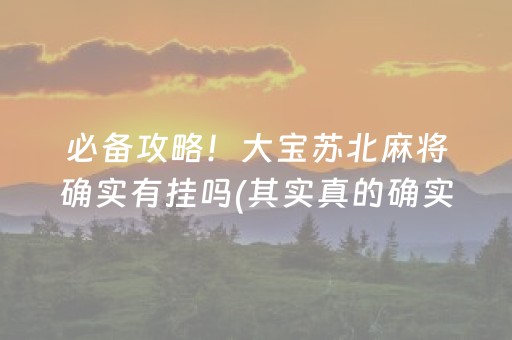 必备攻略！大宝苏北麻将确实有挂吗(其实真的确实有挂)