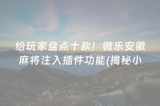 给玩家盘点十款！微乐安徽麻将注入插件功能(揭秘小程序助赢软件)