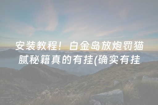 安装教程！白金岛放炮罚猫腻秘籍真的有挂(确实有挂)