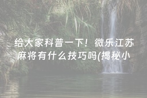 给大家科普一下！微乐江苏麻将有什么技巧吗(揭秘小程序专用神器下载)