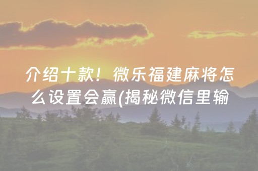 介绍十款！微乐福建麻将怎么设置会赢(揭秘微信里输赢技巧)