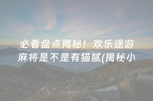 必看盘点揭秘！欢乐途游麻将是不是有猫腻(揭秘小程序确实有猫腻)