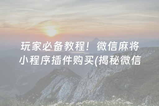 玩家必备教程！微信麻将小程序插件购买(揭秘微信里专用神器下载)