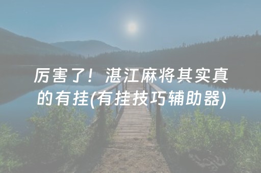 厉害了！湛江麻将其实真的有挂(有挂技巧辅助器)