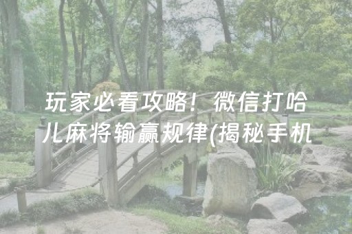 玩家必看攻略！微信打哈儿麻将输赢规律(揭秘手机上提高胜率)