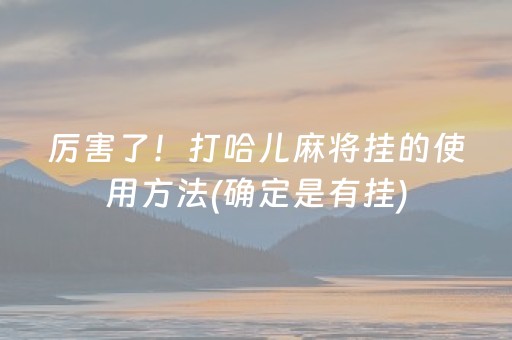 厉害了！打哈儿麻将挂的使用方法(确定是有挂)