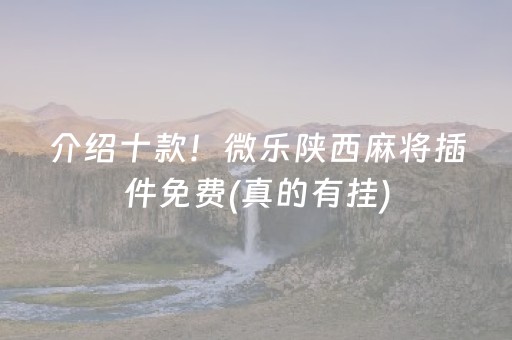 介绍十款！微乐陕西麻将插件免费(真的有挂)