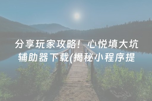 分享玩家攻略！心悦填大坑辅助器下载(揭秘小程序提高赢的概率)