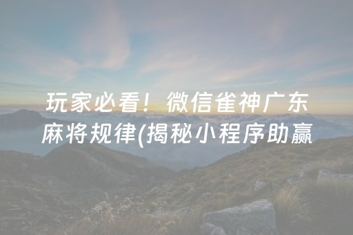 玩家必看！微信雀神广东麻将规律(揭秘小程序助赢神器购买)