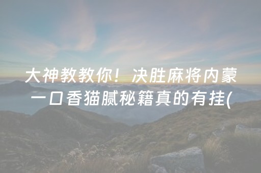 大神教教你！决胜麻将内蒙一口香猫腻秘籍真的有挂(其实真的有挂)