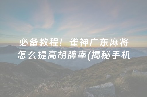 必备教程！雀神广东麻将怎么提高胡牌率(揭秘手机上插件免费)