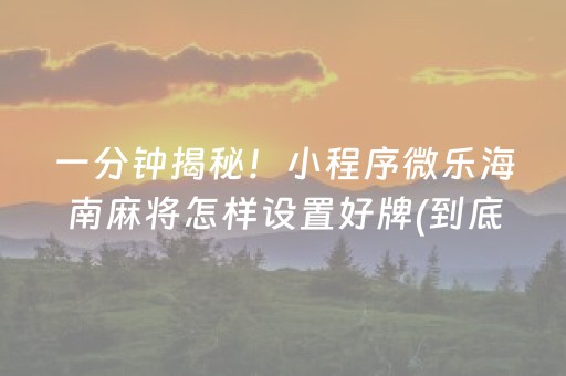 一分钟揭秘！小程序微乐海南麻将怎样设置好牌(到底能不能开挂)