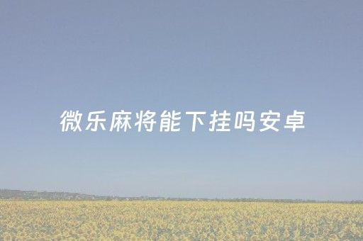 微乐麻将能下挂吗安卓（微乐麻将挂安装）