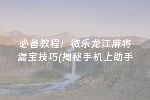 必备教程！微乐龙江麻将漏宝技巧(揭秘手机上助手软件)