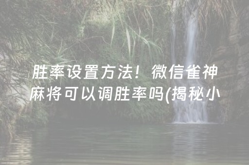 胜率设置方法！微信雀神麻将可以调胜率吗(揭秘小程序确实有猫腻)