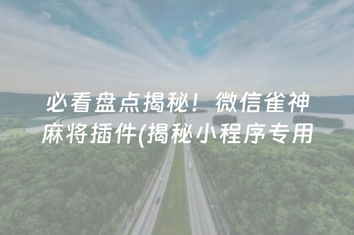 必看盘点揭秘！微信雀神麻将插件(揭秘小程序专用神器下载)