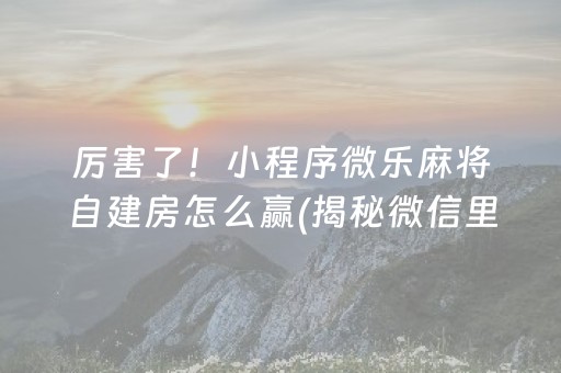 厉害了！小程序微乐麻将自建房怎么赢(揭秘微信里提高胜率)