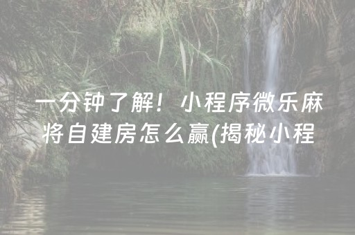 一分钟了解！小程序微乐麻将自建房怎么赢(揭秘小程序规律攻略)