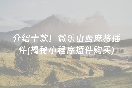 介绍十款！微乐山西麻将插件(揭秘小程序插件购买)