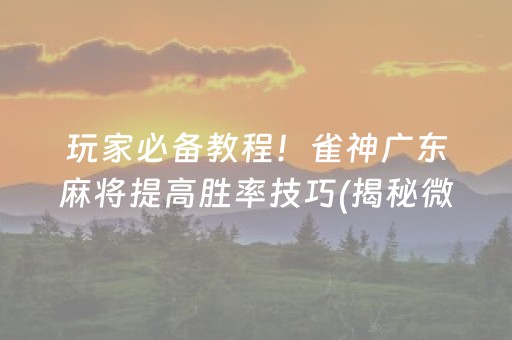 玩家必备教程！雀神广东麻将提高胜率技巧(揭秘微信里赢牌的技巧)