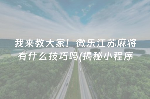 我来教大家！微乐江苏麻将有什么技巧吗(揭秘小程序辅牌器)