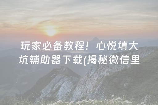 玩家必备教程！心悦填大坑辅助器下载(揭秘微信里最新神器下载)