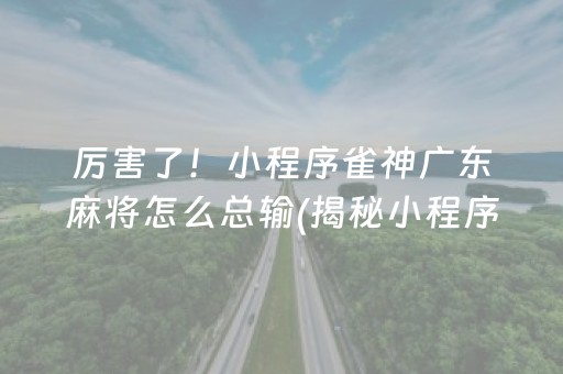 厉害了！小程序雀神广东麻将怎么总输(揭秘小程序助赢神器购买)