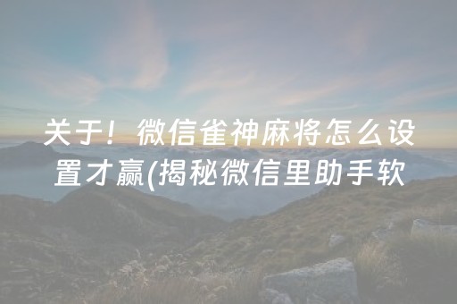 关于！微信雀神麻将怎么设置才赢(揭秘微信里助手软件)