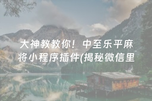 大神教教你！中至乐平麻将小程序插件(揭秘微信里助赢神器购买)