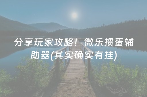 分享玩家攻略！微乐掼蛋辅助器(其实确实有挂)