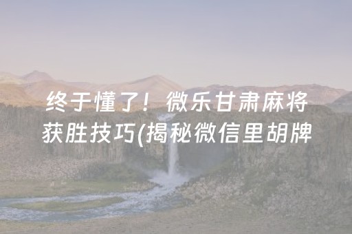 终于懂了！微乐甘肃麻将获胜技巧(揭秘微信里胡牌技巧)