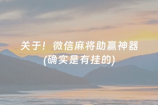 关于！微信麻将助赢神器(确实是有挂的)