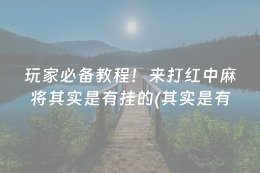 玩家必备教程！来打红中麻将其实是有挂的(其实是有挂确实有挂)