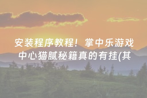 安装程序教程！掌中乐游戏中心猫腻秘籍真的有挂(其实真的确实有挂)