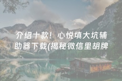 介绍十款！心悦填大坑辅助器下载(揭秘微信里胡牌技巧)