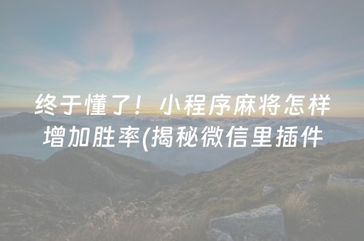 终于懂了！小程序麻将怎样增加胜率(揭秘微信里插件购买)