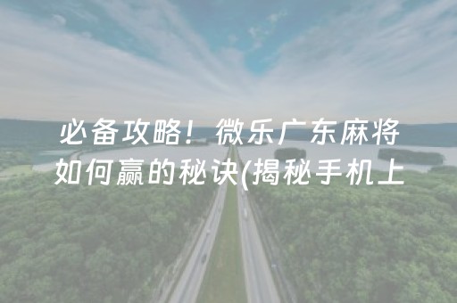 必备攻略！微乐广东麻将如何赢的秘诀(揭秘手机上确实有猫腻)