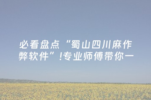 必看盘点“蜀山四川麻作弊软件”!专业师傅带你一起了解（详细教程）-知乎